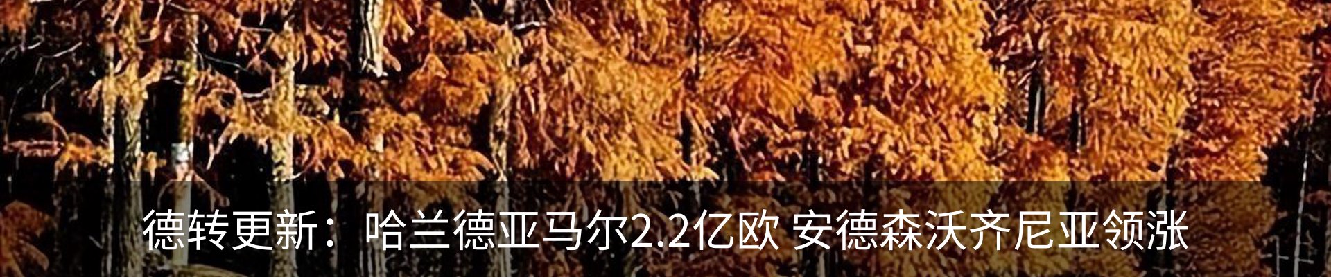 新闻中心