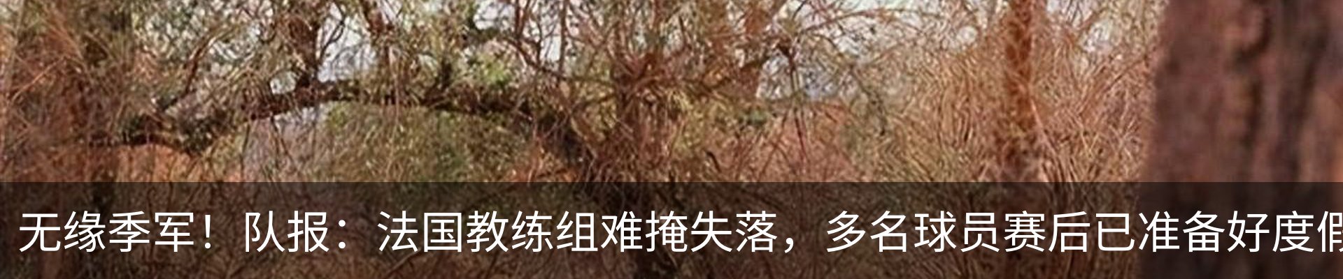 新闻中心