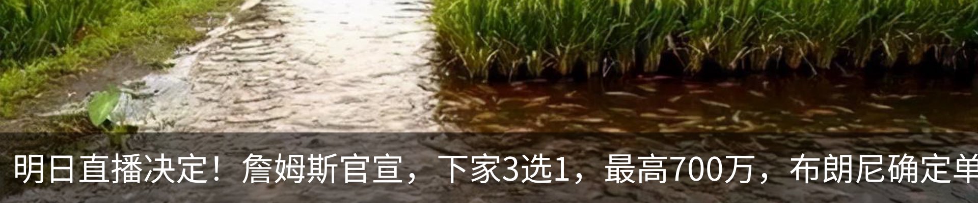 新闻中心