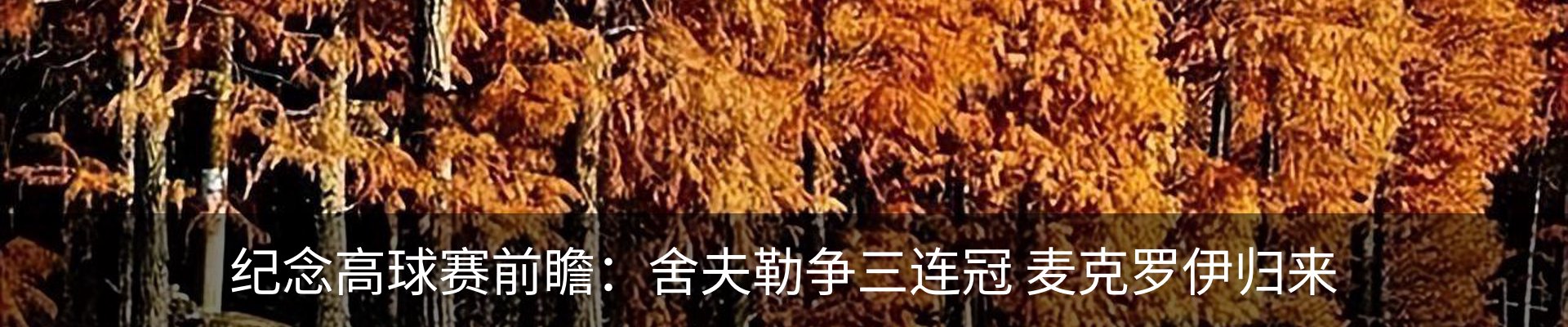 新闻中心