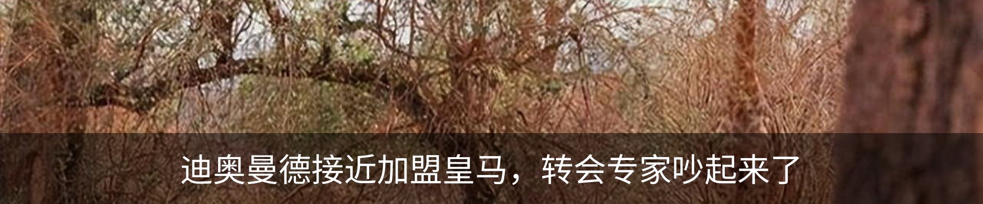 新闻中心